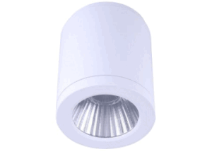 3A Lighting 15W LED Surface Mount Light (DL2081)