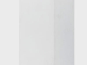 Havit Lighting Accord White TRI Colour Up & Down LED Wall Light
