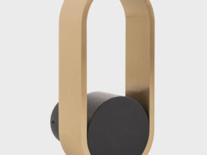 Havit Lighting Ovale Black + Brass Wall Light (HV8080T-BLKBR)