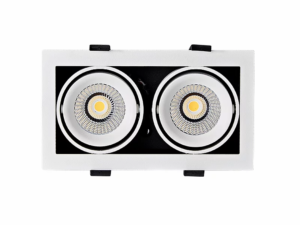 3A Lighting 2X10W SQ Adjustable Downlight (LUX-DD1810M-C20W)