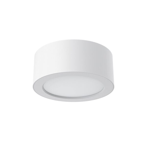 3A Lighting 30W LED Surface Mount(DL30096/TC)
