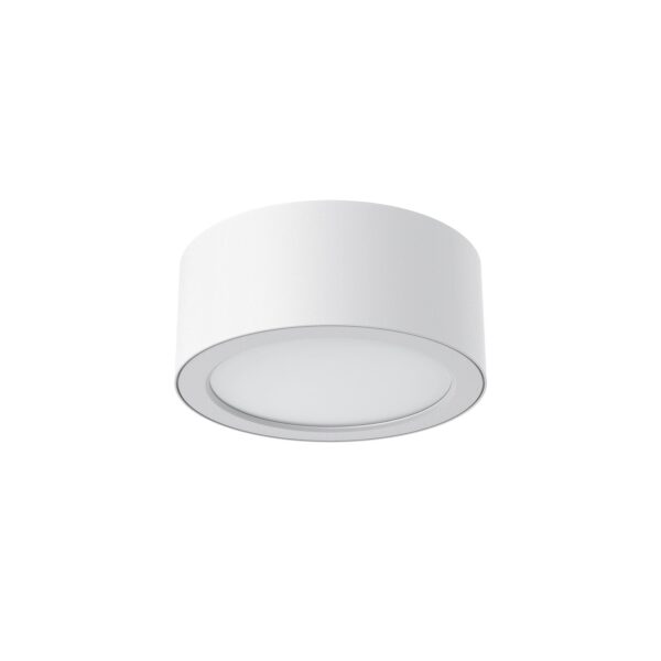 3A Lighting 20W LED Surface Mount (DL20096/20W/TC)